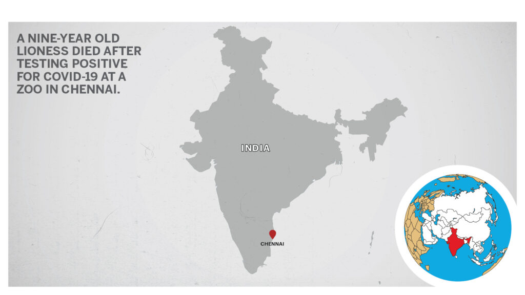 Map of Chennai India