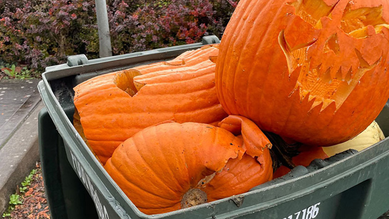 A green bin overflowing with discarded pumpkins, symbolizing post-Halloween recycling efforts in Will County.