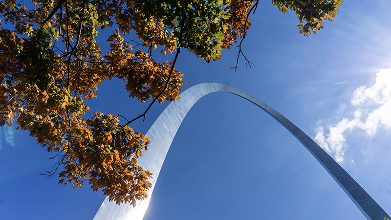 Gateway Arch expansion plans for East St. Louis, framed by autumn leaves and a bright blue sky.