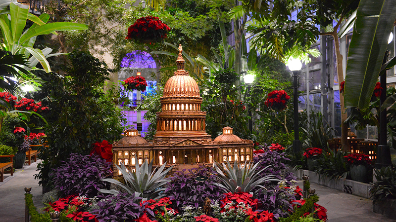 Washington DC things to do include visiting the U.S. Botanic Garden's holiday display featuring a miniature Capitol model surrounded by poinsettias.