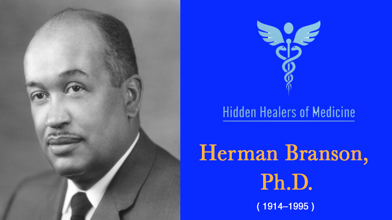 Portrait of Dr. Herman Branson, co-developer of the alpha-helix model, a key discovery in molecular biology and biomedical science.