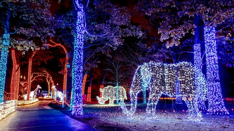 A vibrant holiday light display at the Detroit Zoo's Wild Lights, featuring illuminated animal sculptures and festive decorations.