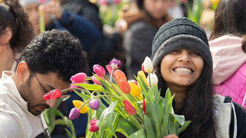 Washington, D.C. events including military base security, curfews, and Tulip Day.
