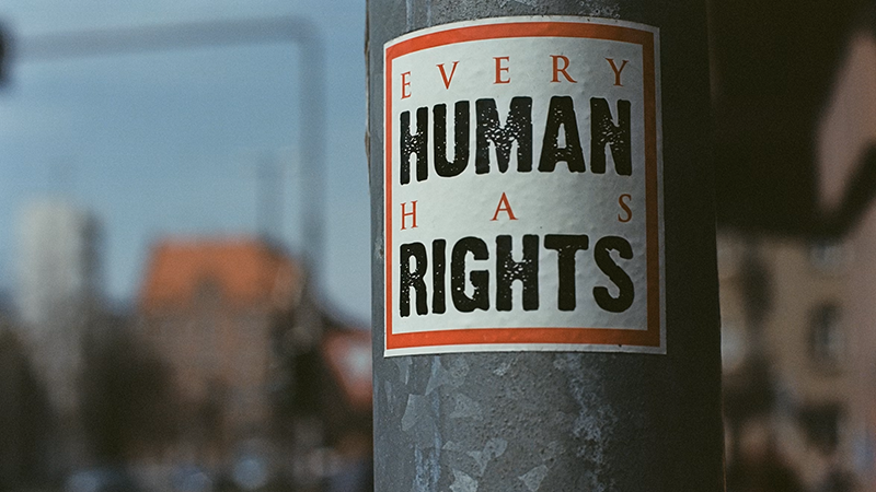 Close-up of a human rights advocacy sticker on a galvanized metal pole in an urban setting, emphasizing the message 'Every Human Has Rights.'