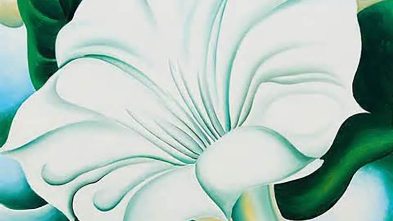 Georgia O’Keeffe’s White Trumpet Flower painting showcasing bold, close-up floral details.