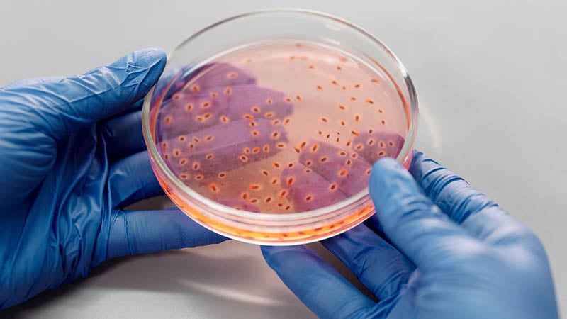 A detailed microscopic view of the Cyclospora parasite highlighting the danger behind the Cyclospora outbreak food safety alerts.
