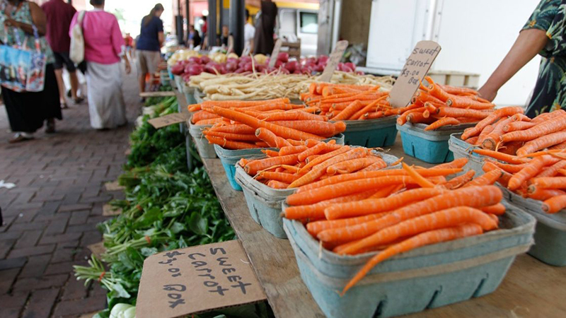 A vibrant farmers market scene featuring fresh carrots in blue baskets, leafy greens, and bustling shoppers on a sunny day.