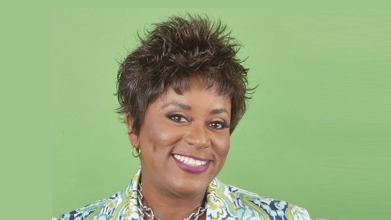 DiSC Plus: Annie McKnight: Built on Faith, Fueled by Comedy, Driven by Purpose