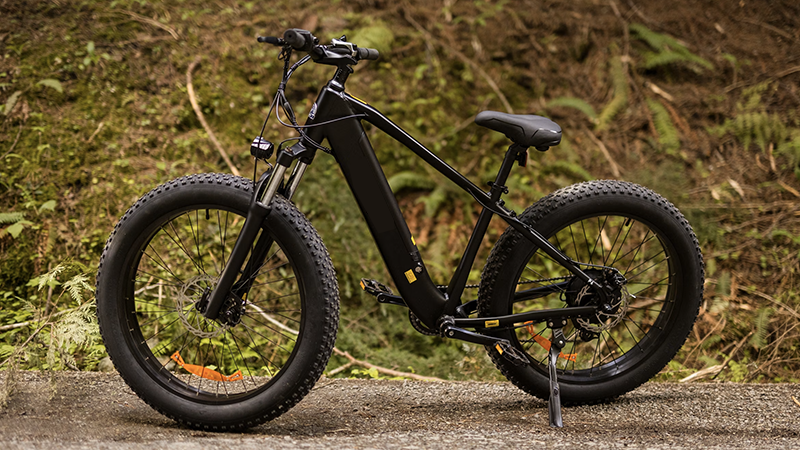 DMV Safety Shifts: DC Juvenile Curfew Expansion, Bethesda E-Bike Reckless Driving, and Fairfax County Road Shark Campaign: D.C.’s Week In Review