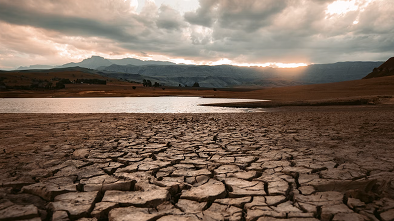 Drought in the U.S.: What’s Causing It, Who’s Affected, and What Comes Next