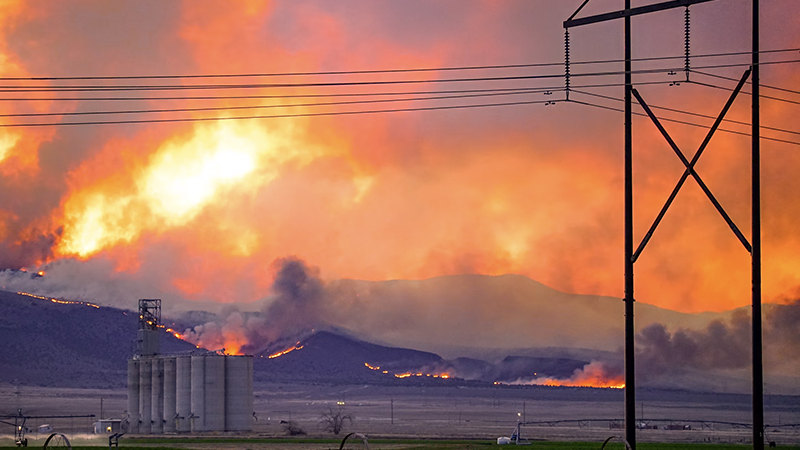 Fire, Flood, and Fury: How Heatwaves, Killer Floods, and a 231 km/h Cyclone Are Tearing the World Apart This Week