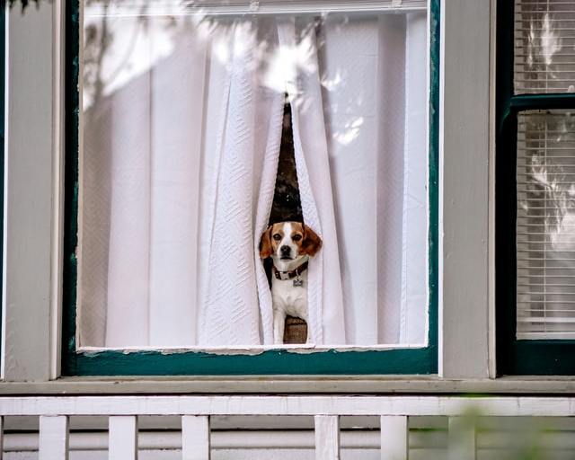 How to save to buy your first home