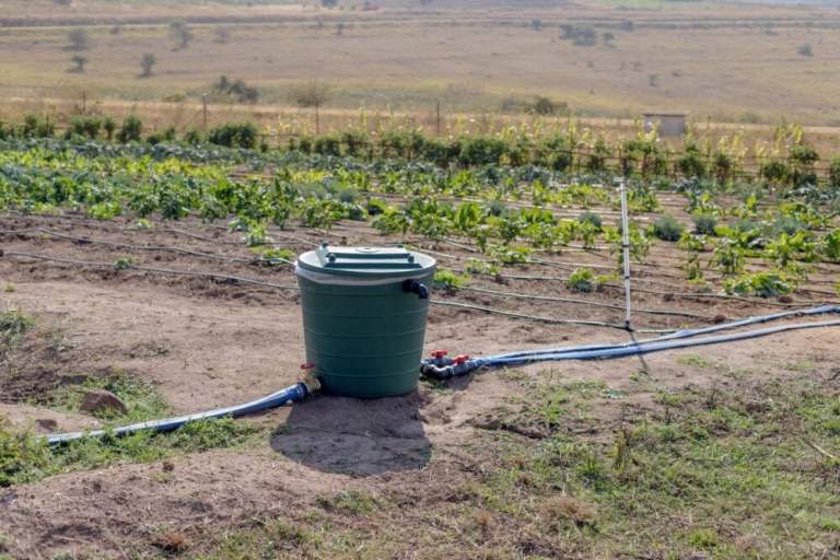 New Gravity Watering System Saves Resources And Raises Crop Yields
