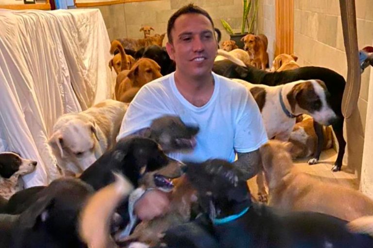 VIDEO: Man Shelters 300 Dogs In His Home From Hurricane Delta