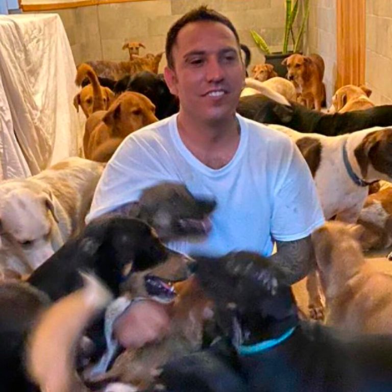VIDEO: Man Shelters 300 Dogs In His Home From Hurricane Delta