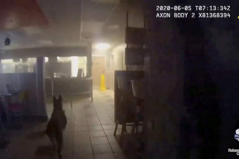 VIDEO: Utah Police Order Dog To Attack 14-Year-Old Surrendering Suspect
