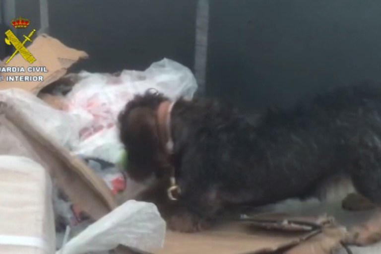 VIDEO: Spanish Police Dog Nabs 5 Illegal Migrants Hiding In Clothes Pile