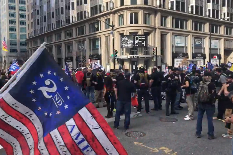 Trump Supporters March on Washington, DC