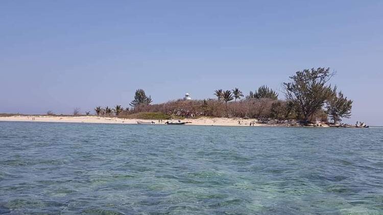 Turtle Paradise In Veracruz Remains Closed To The Public