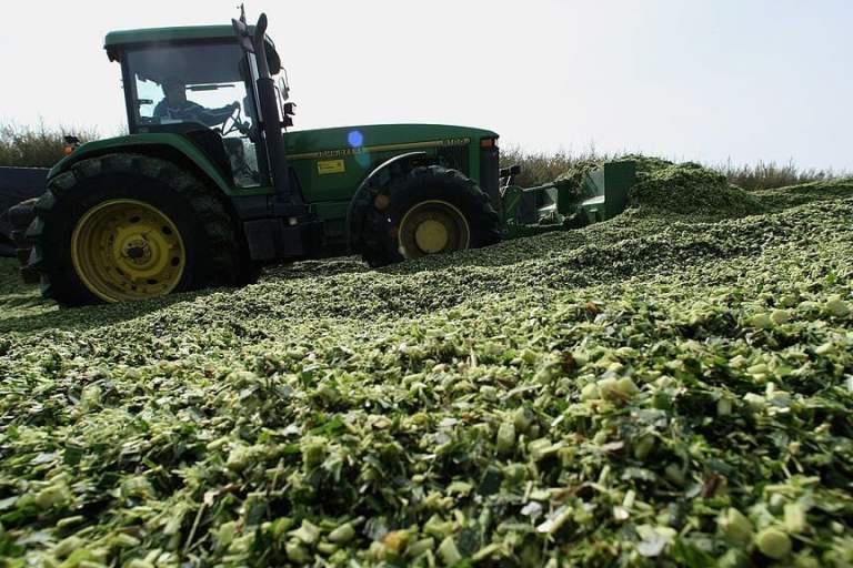 Congress Battles Over Biofuels As California Demand Squeezes Bakers