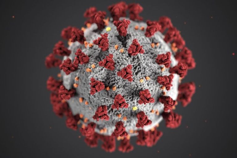 Antibody Protects Against Broad Range Of Covid-19 Virus Variants: Study