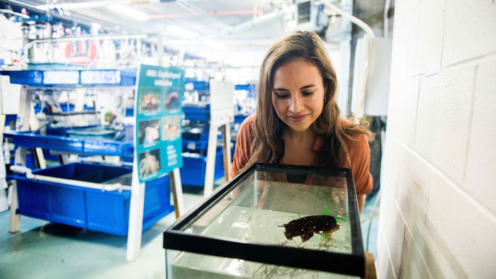 Food For Thought: Cuttlefish Have Sharper Memories In Old Age Than Humans