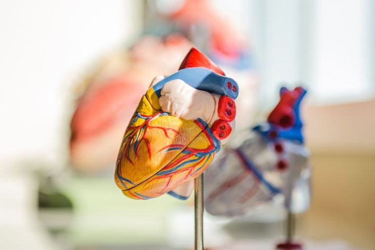 Batteryless Pacemaker Could Use Heart’s Energy For Power: Study