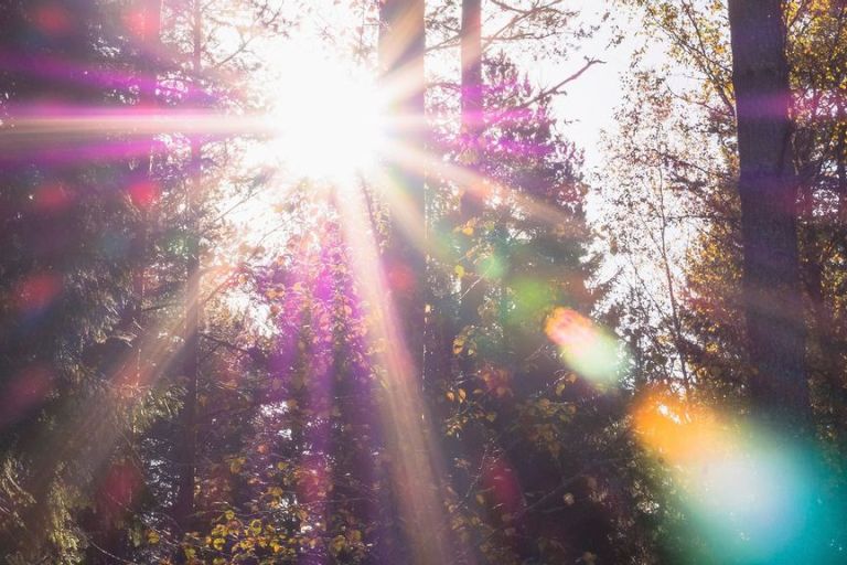 IOS 15 May Remove Lens Flare From Photos, To Upgrade Camera