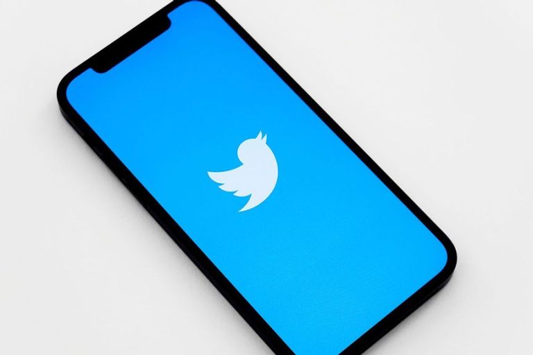 Indian Government Informs Its Court That Twitter Has “Prima Facie” Appointed Officials 