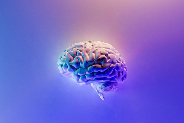 Readiness To Punish Others For Selfish Behavior Explained By Functional Brain Connections