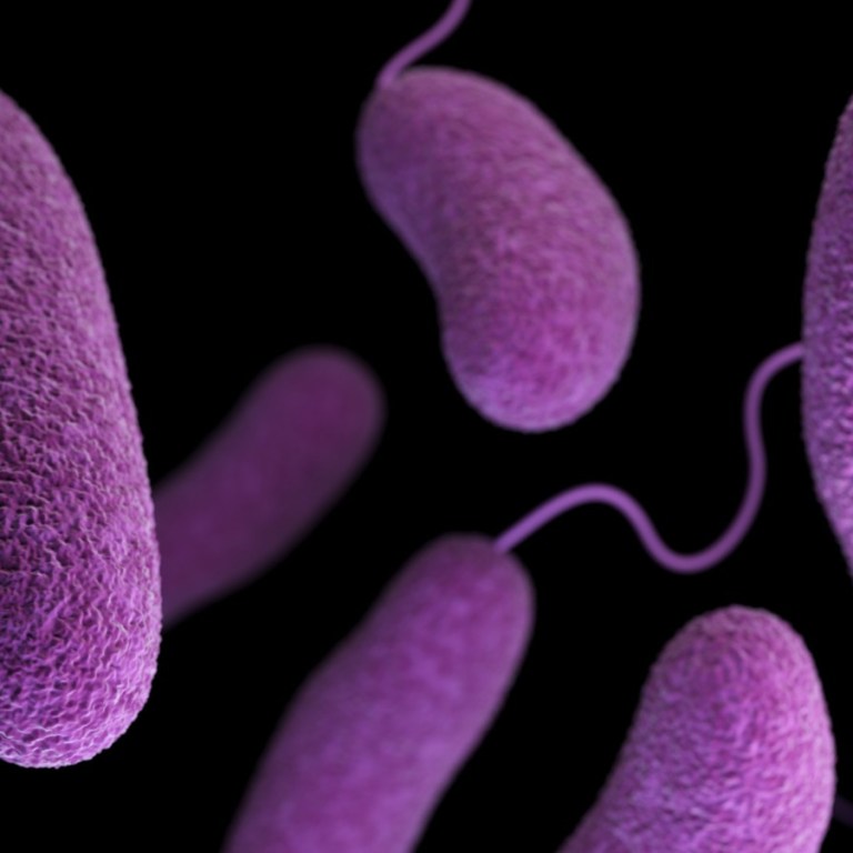 Good Bacteria May Eliminate Bad Bacteria Better Than Antibiotics
