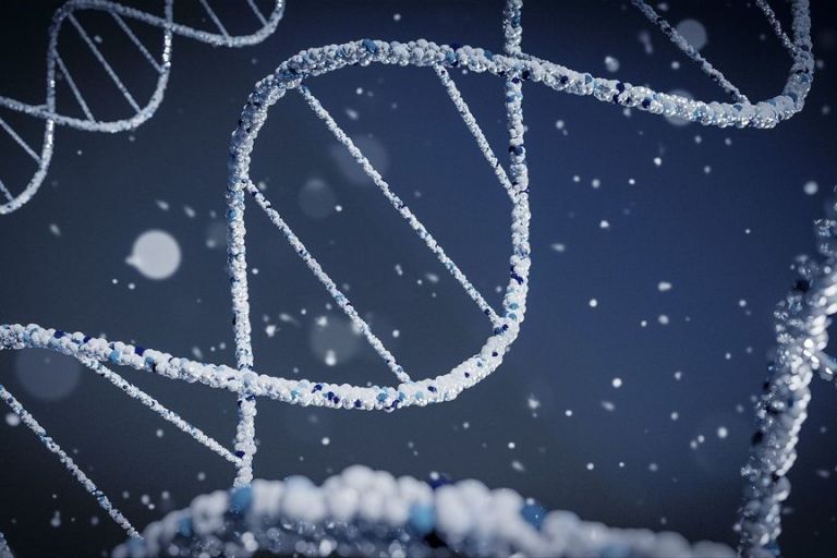 Genes Can Identify, Respond To Coded Information In Light Signals: Study