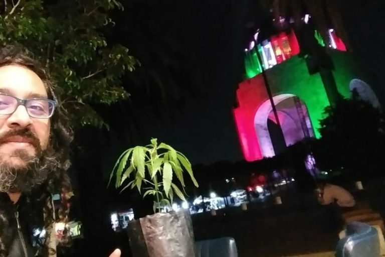 Indoor Cannabis Crop Producers Offer Alternative To Narco Monopoly