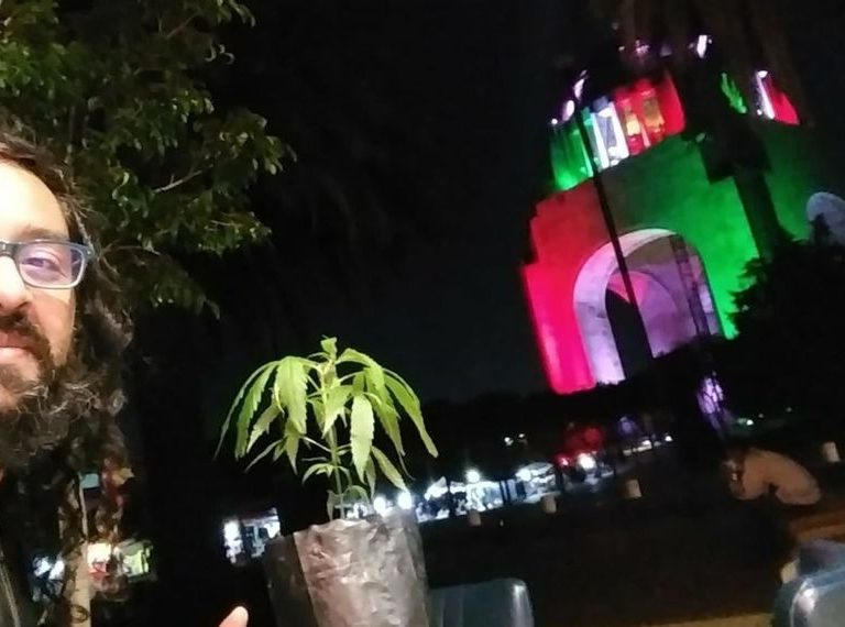 Indoor Cannabis Crop Producers Offer Alternative To Narco Monopoly