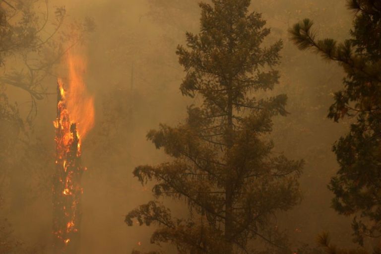 Study Links Wildfires To Thousands Of Respiratory And Cardiovascular Deaths Annually