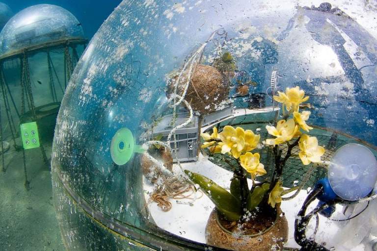 VIDEO: Wave Goodbye To Fields: Futuristic Farm Grows Crops Under The Ocean