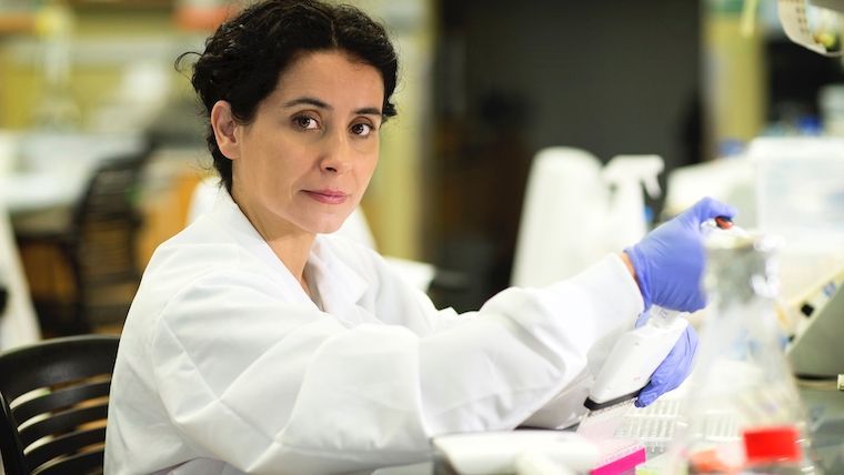 Scientists Block ‘Fat Gene’ In Lab Mice, Preventing Weight Gain And Lowering Blood Sugar