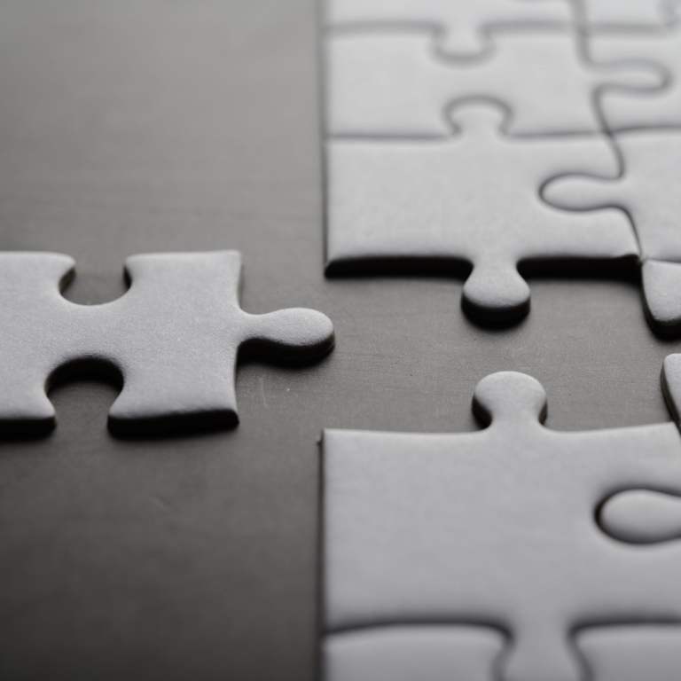 Solving the Puzzle