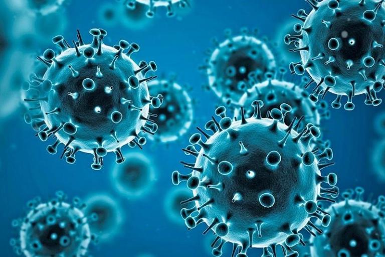 What are the different variants of covid-19?