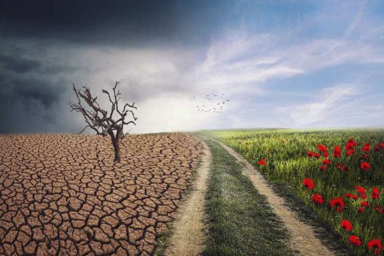 Climate change is real and the discussion is here to stay.