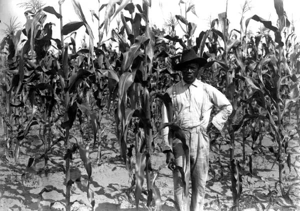 Black Farmers Lost At Least $326 Billion During 20th Century
