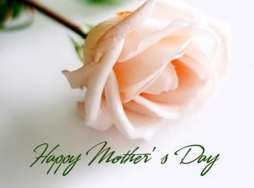 What does a Mother means to the World that is so full of love, hate and all in between?