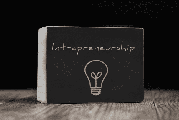 The Mechanics of Entrepreneurship: Have You Considered Intrapreneurship?