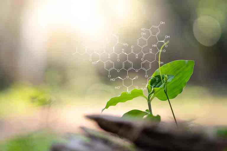 Should You be Concerned about BPA (Bisphenol A)?