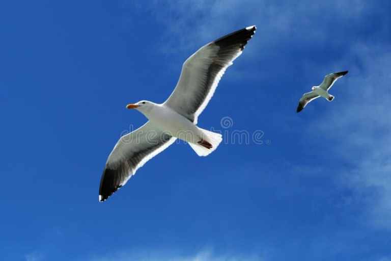 Poetry/Prose: Tippy Toe