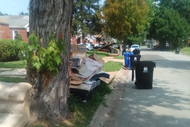 St Louis inner-ring and one of its largest suburb, University City’s elder residents are ready to forget the devastating flood