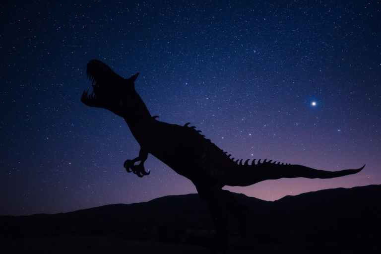 New Model Outlines the Aftermath of the Asteroid that Killed Dinosaurs which in turns shaped life