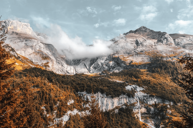 Poetry Prose Corner: SAY THEE WORD