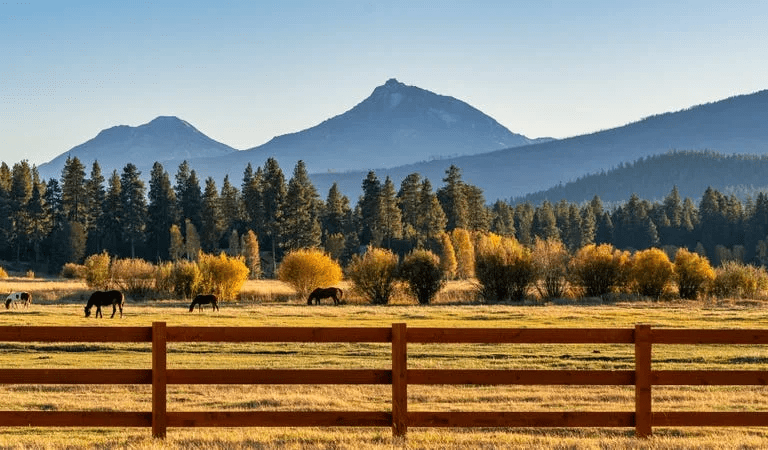 White Neighbors Try to Drive Out Black Ranchers by Slaying Their Livestock
