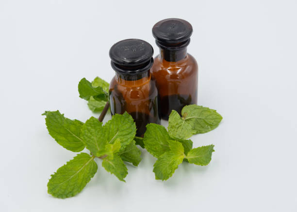 Health Matters: 5 Herbs That Boost Lung Health